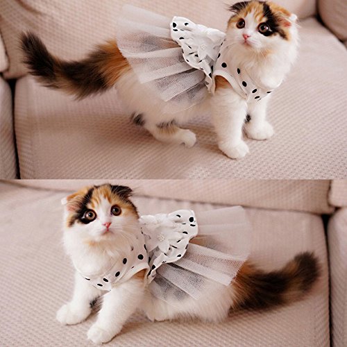 Cat Summer Spring outfits Small Shirts Dog tanks Doggy tops Pet clothing Dress Puppy Designer Clothes Apparel